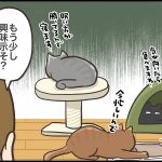 4コマ漫画★猫漫画2選
