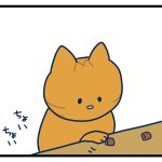 後輩猫の背中をいつも追ってるトラ吉